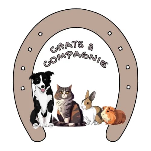 Chats & compagnie