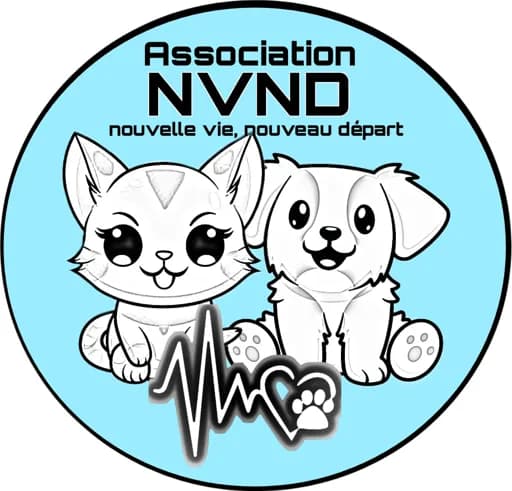 Nouvelle Vie Nouveau Départ
