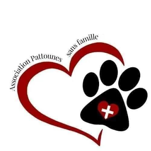 Pattounes sans Famille