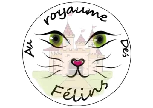 Au Royaume des Félins