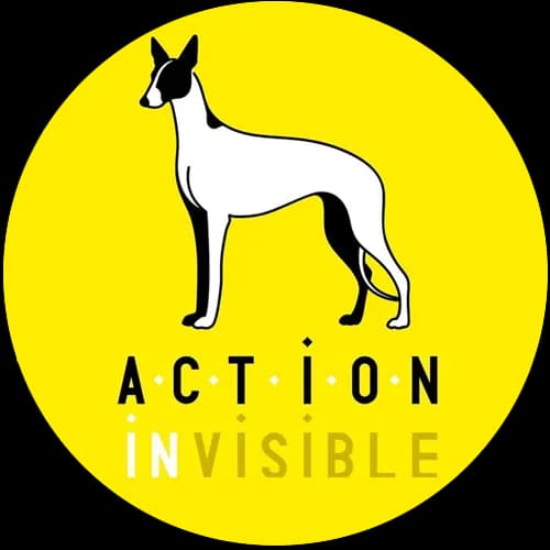 Action Invisible - Réseau pour les oubliés des refuges espagnols