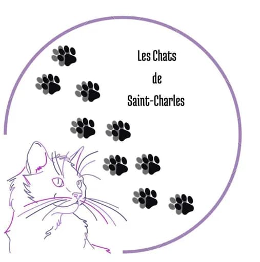 Les Chats de Saint-Charles