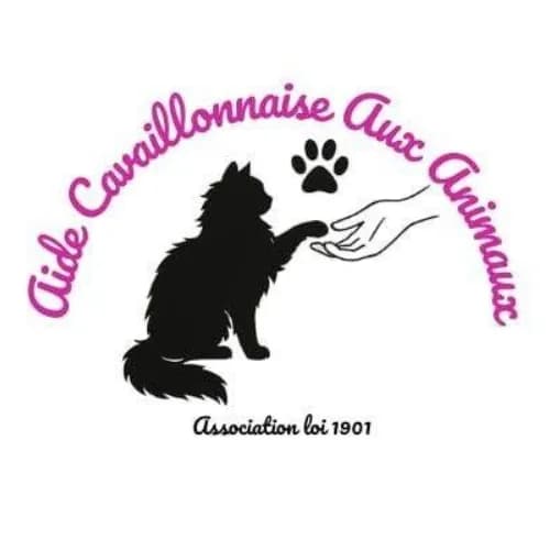 Aide Cavaillonnaise Aux Animaux