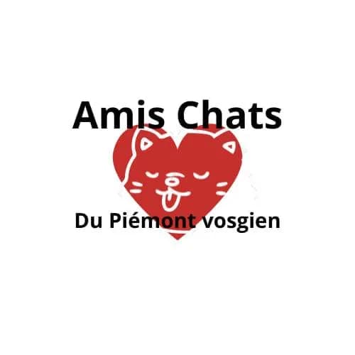 Amis chats du Piémont vosgien