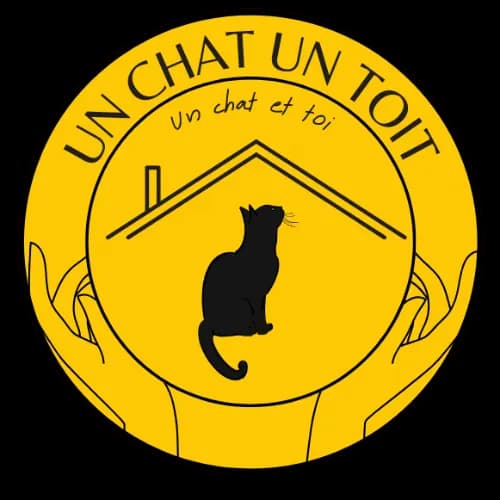 Un Chat Un Toit