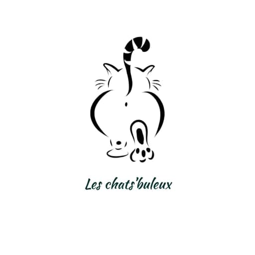 Les chats'buleux