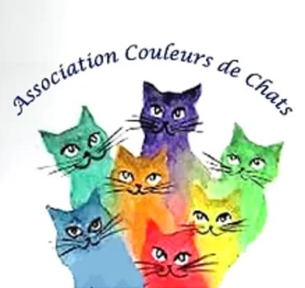 Couleurs de Chats