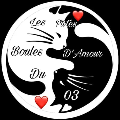 Les P'tites Boules D'Amour du 03