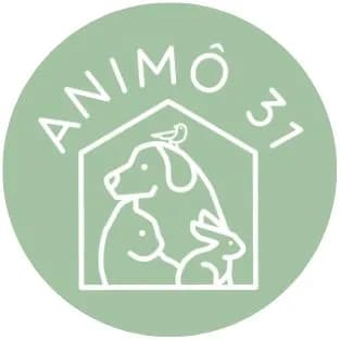 Animo31