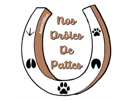 Nos drôles de pattes