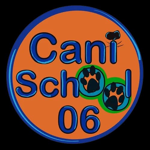 Cani-school 06