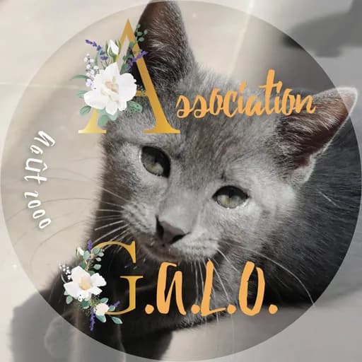 GALO (Gîte des Amis de L'Os)