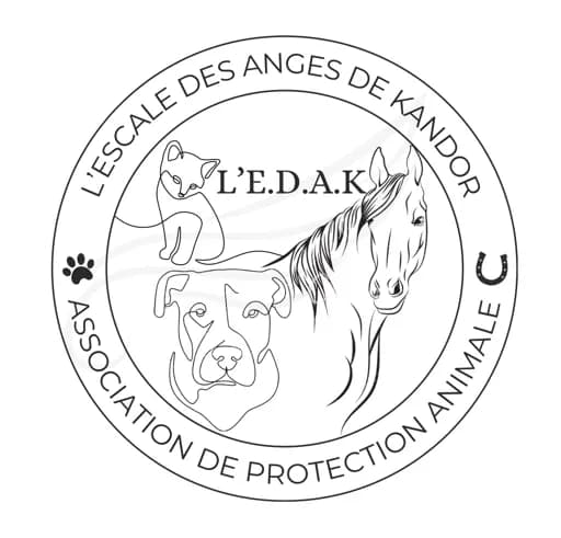 L’Escale Des Anges de Kandor