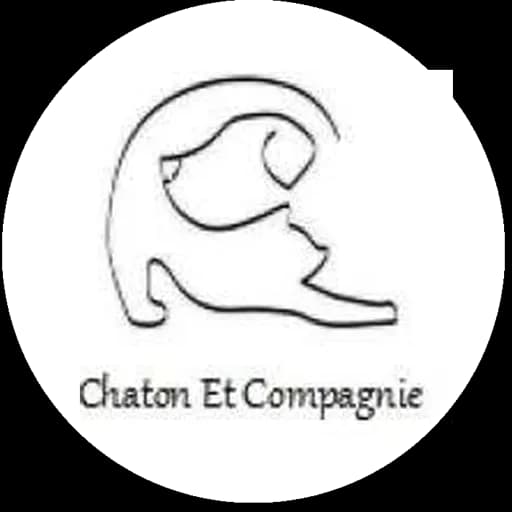 Chaton et compagnie