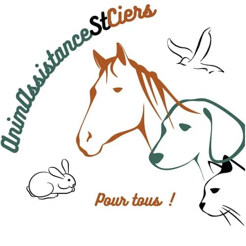 Animassistancesaintciers