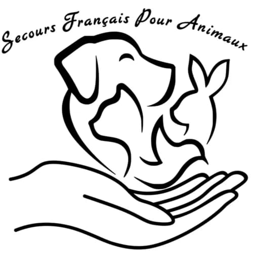 SFPA71 Secours français pour animaux