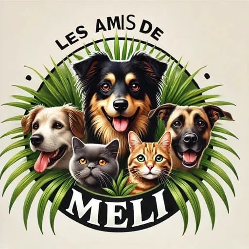 Les amis de Méli