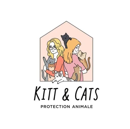 Kitt and cats