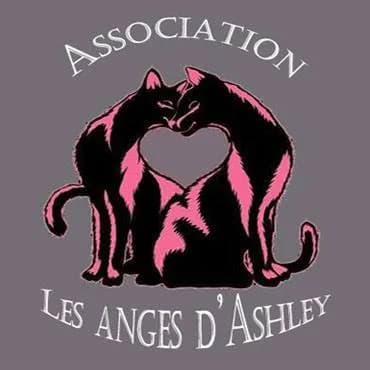 Les anges d'Ashley