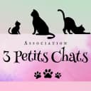 3 petits chats