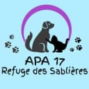 APA 17