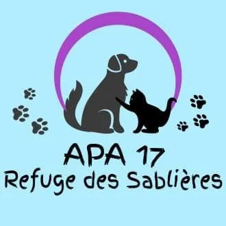APA 17