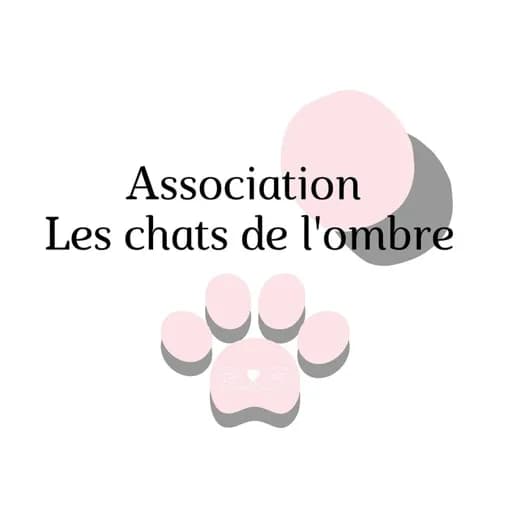 Chats de l'ombre