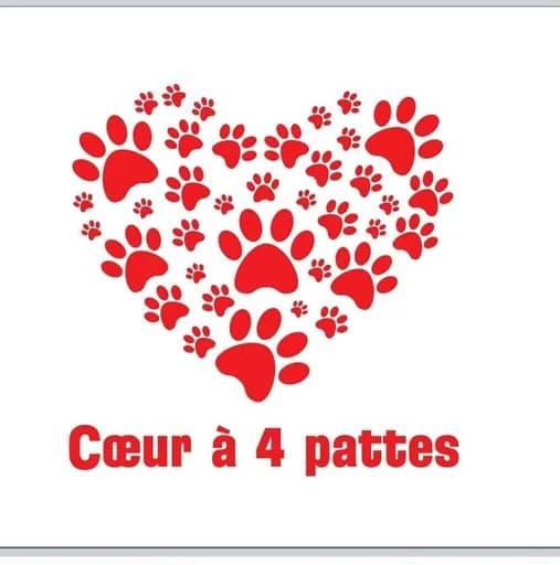 Coeur à 4 pattes