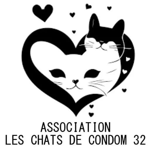Les chats de Condom 32