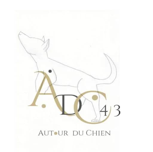 Autour du chien 43