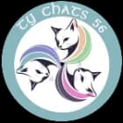 Ty chats 56