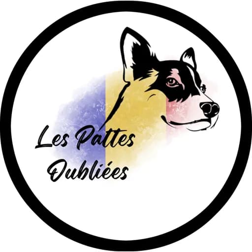 Les pattes oubliées