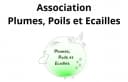 Plumes, Poils et Écailles