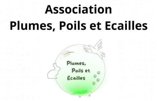 Plumes, Poils et Écailles