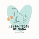 Les Protégés de Simba