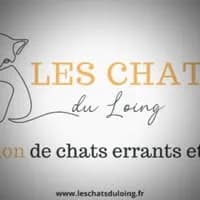 Les Chats du Loing
