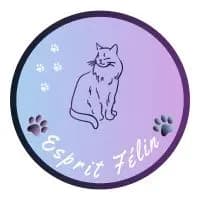 Esprit félin