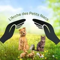 L'arche des petits NACS