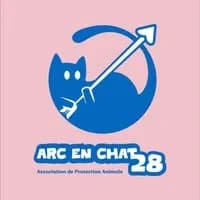 L'arc en chat 28