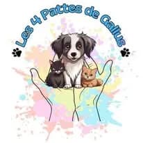 Les 4 Pattes de Gallus