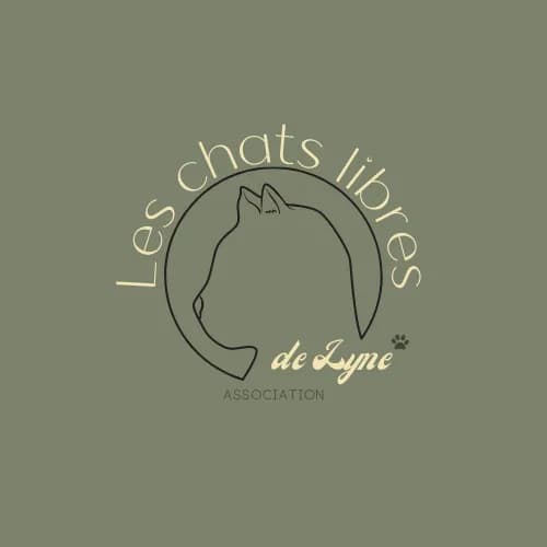 Les chats libres de Lyne