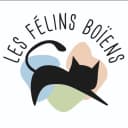 Les félins boïens