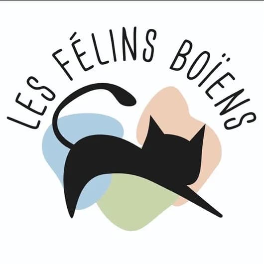 Les félins boïens
