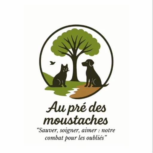 Au pré des moustaches