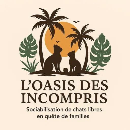 L’oasis Des Incompris