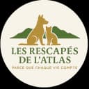 Les rescapés de l'Atlas