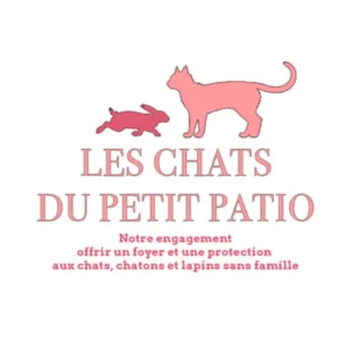 Les chats du petit patio