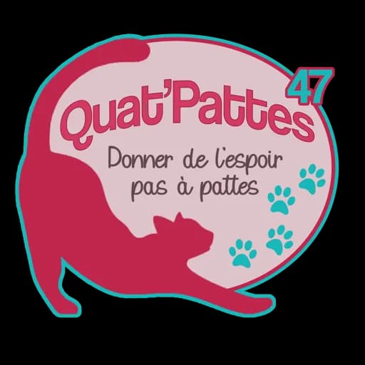 Quat'pattes 47