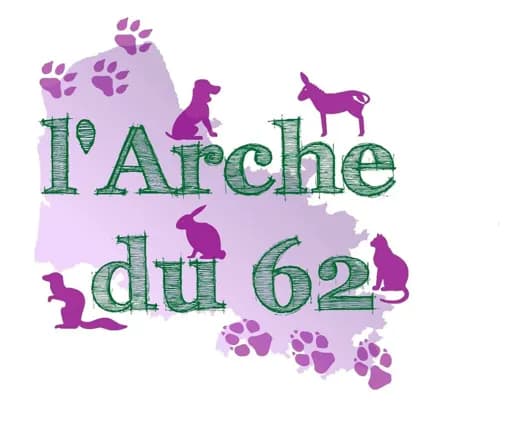 Arche du 62 Barlin