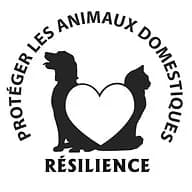 Résilience